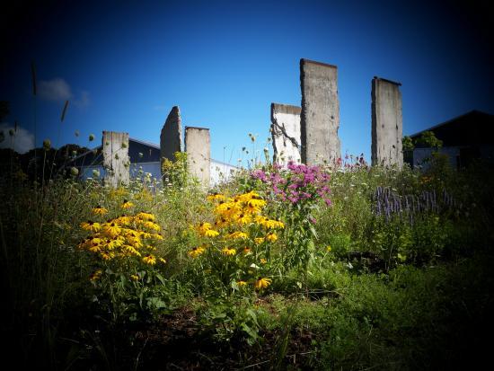 Berlin Wall Sections